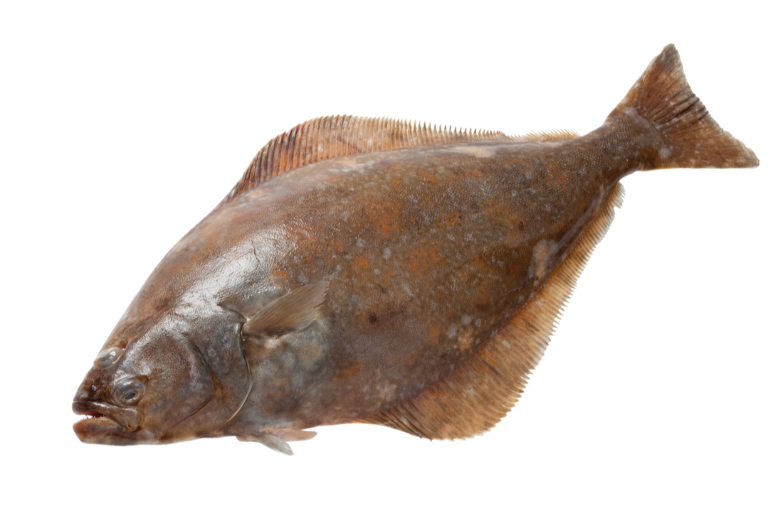 Nord till bord seafood 6