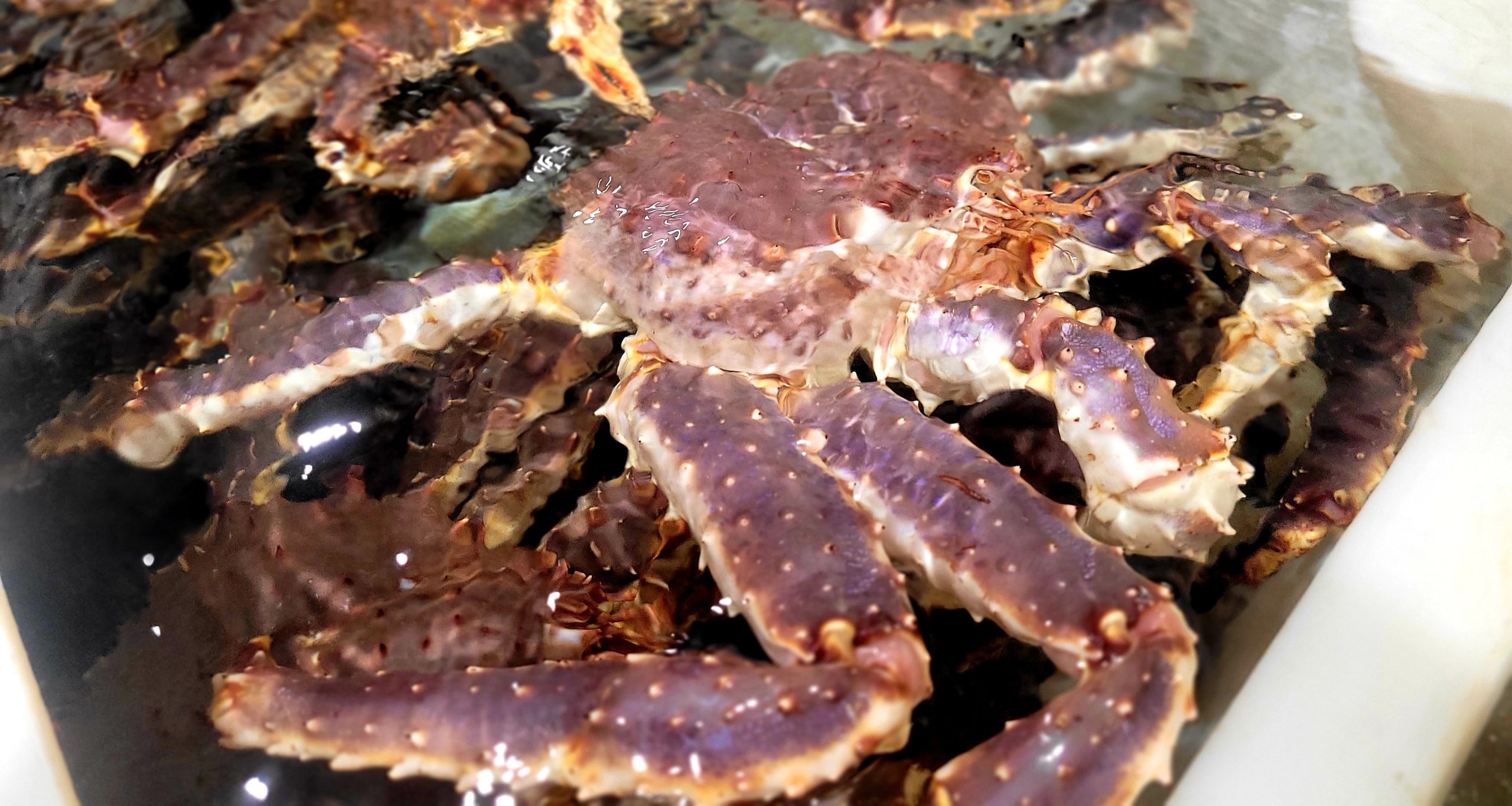 Nord till bord seafood 4